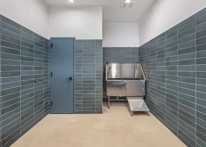 Apartment Lux King Bed Gym Free Parking *
